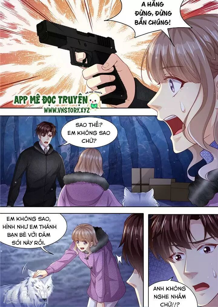 Cưng Chiều Vợ Yêu: Chapter 308: Đàn sói đến giúp