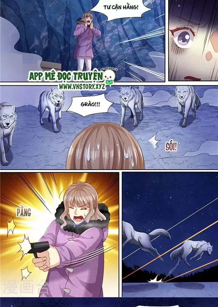 Cưng Chiều Vợ Yêu: Chapter 308: Đàn sói đến giúp