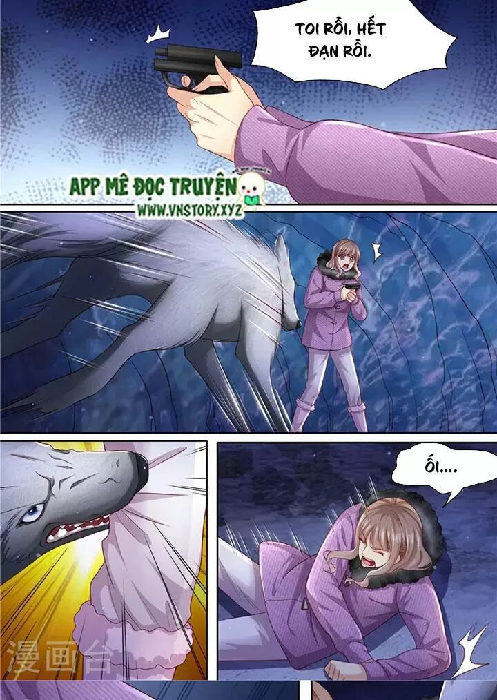 Cưng Chiều Vợ Yêu: Chapter 308: Đàn sói đến giúp