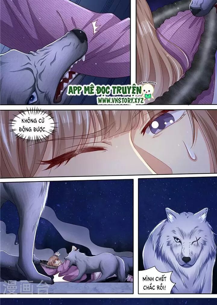Cưng Chiều Vợ Yêu: Chapter 308: Đàn sói đến giúp