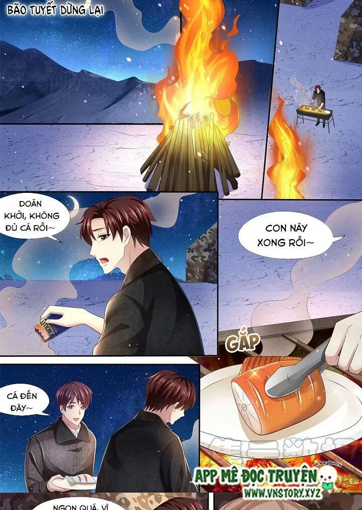 Cưng Chiều Vợ Yêu: Chapter 311: Chưa biết bị mai phục