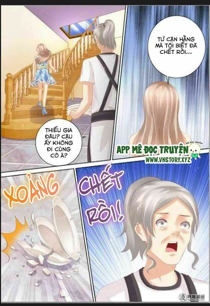 Cưng Chiều Vợ Yêu: Chapter 61: Không muốn gặp lại anh nữa