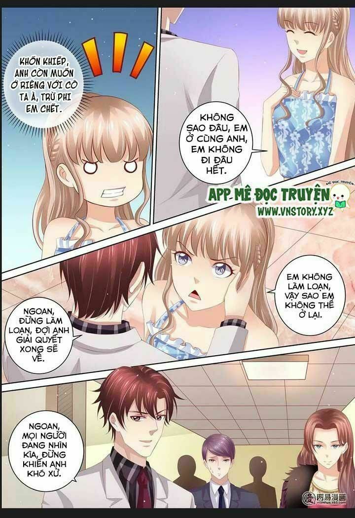 Cưng Chiều Vợ Yêu: Chapter 61: Không muốn gặp lại anh nữa