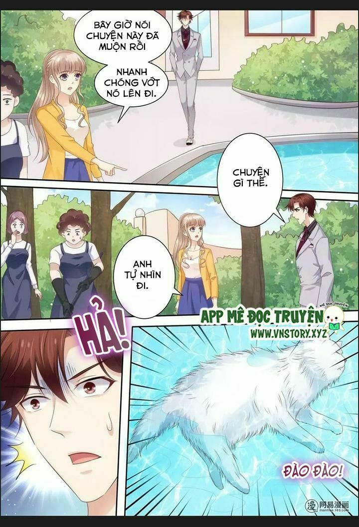 Cưng Chiều Vợ Yêu: Chapter 75: Vì sao không tin em