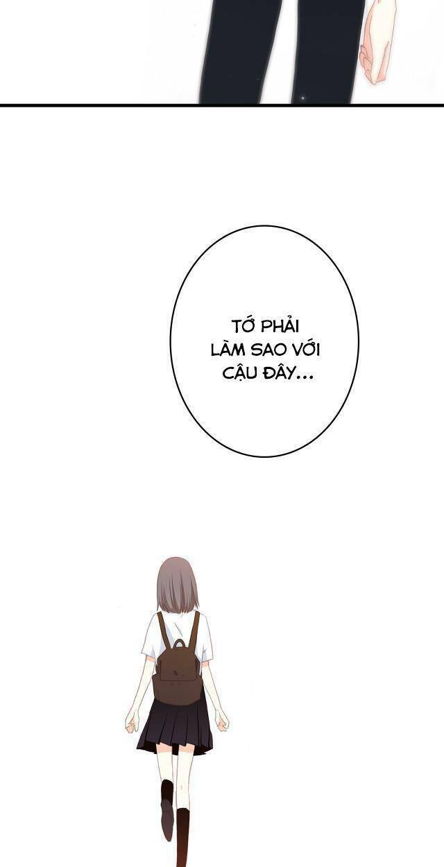 Con Tim Rung Động: Chapter 56