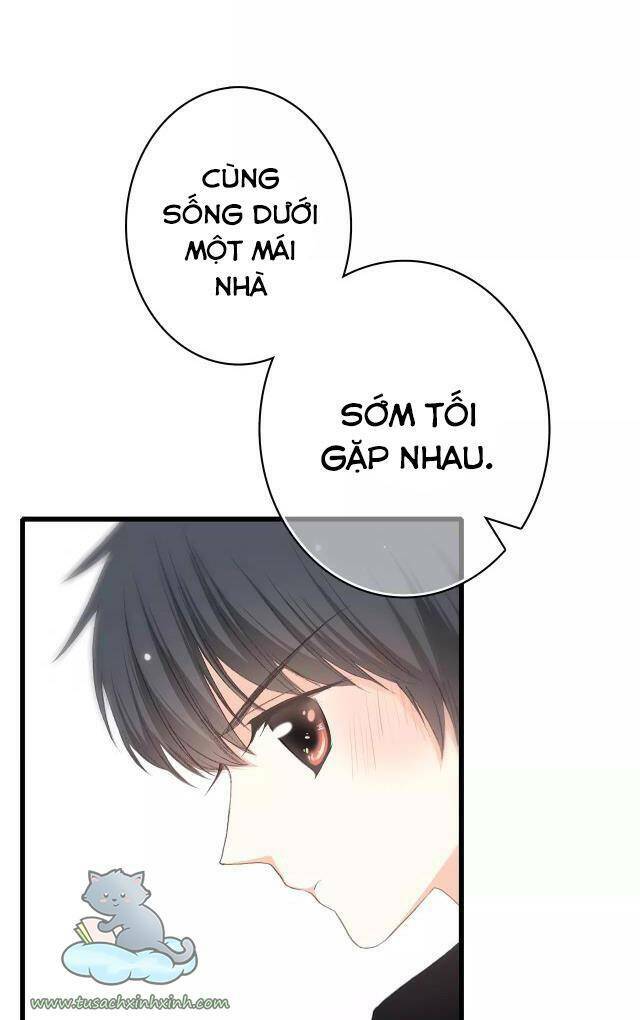 Con Tim Rung Động: Chapter 60