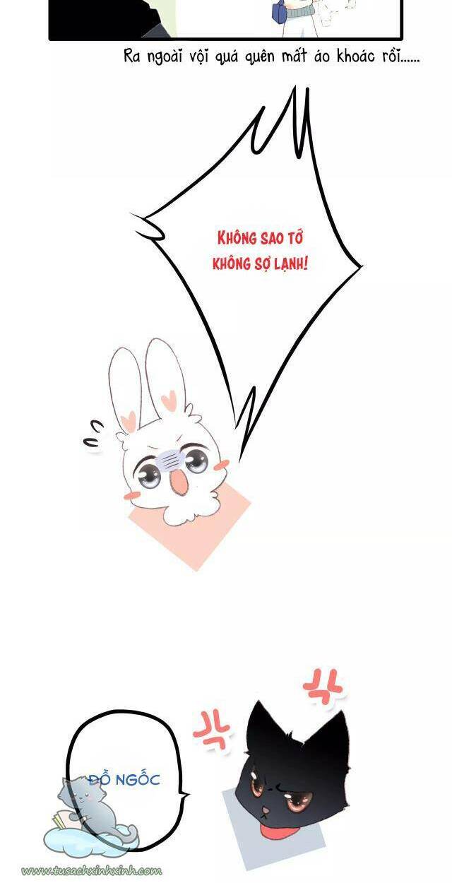 Con Tim Rung Động: Chapter 61