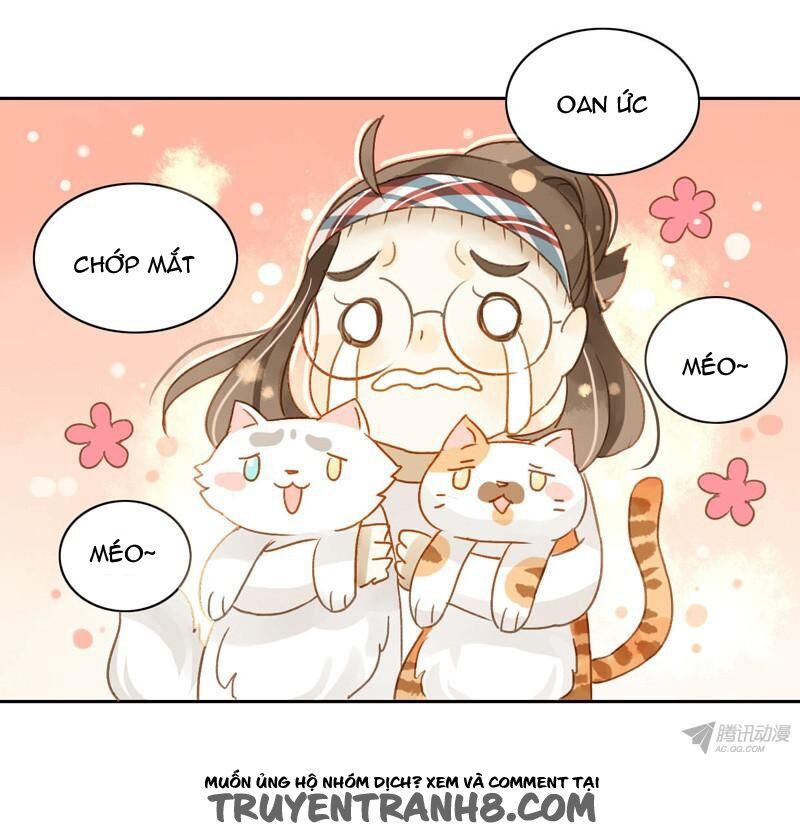 Sức Mạnh Của Sắc Đẹp: Chapter 37