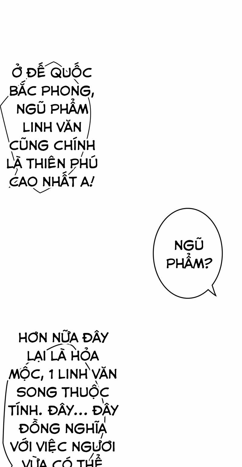 Chí Tôn Võ Đế: Chapter 13