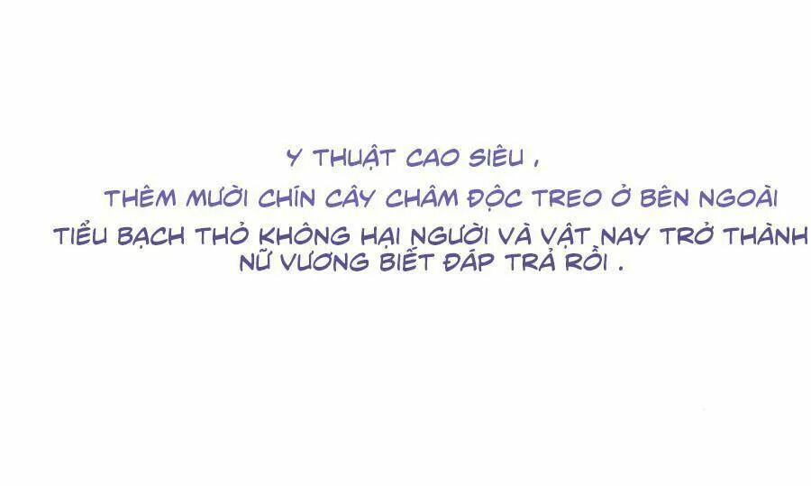 Độc Y Đích Nữ: Chapter 0