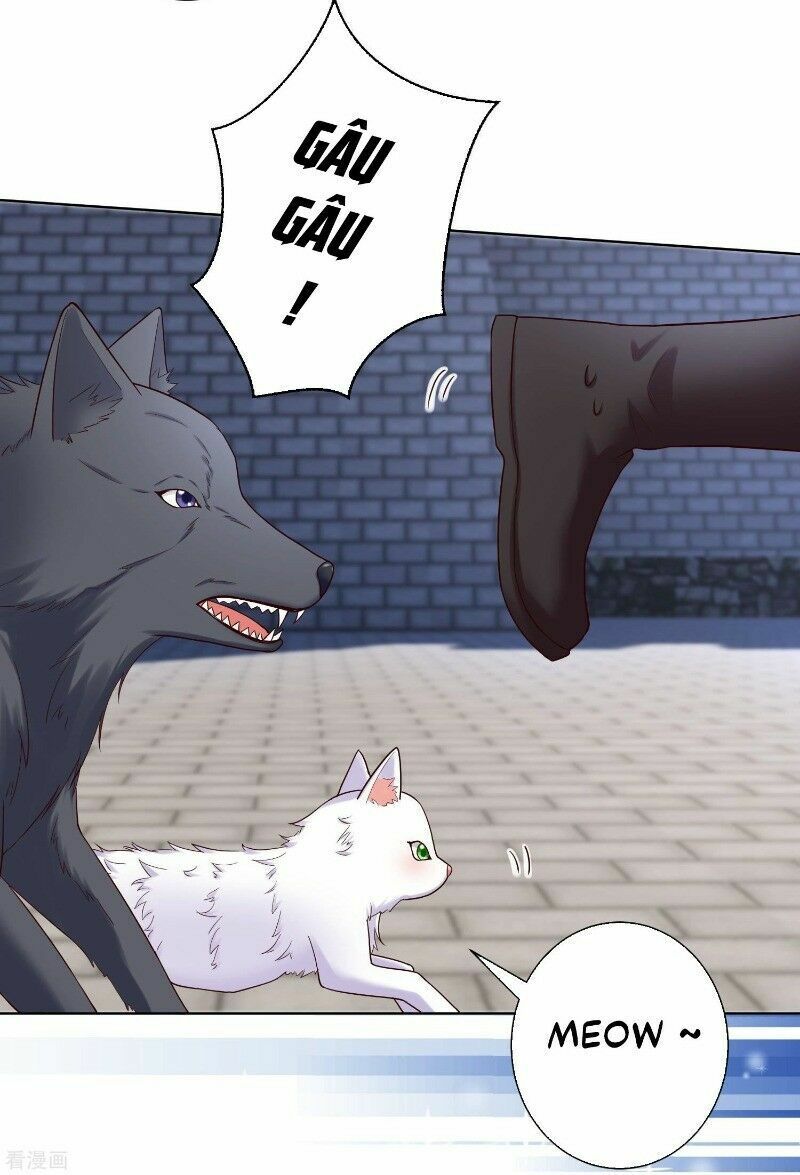 Độc Y Đích Nữ: Chapter 128