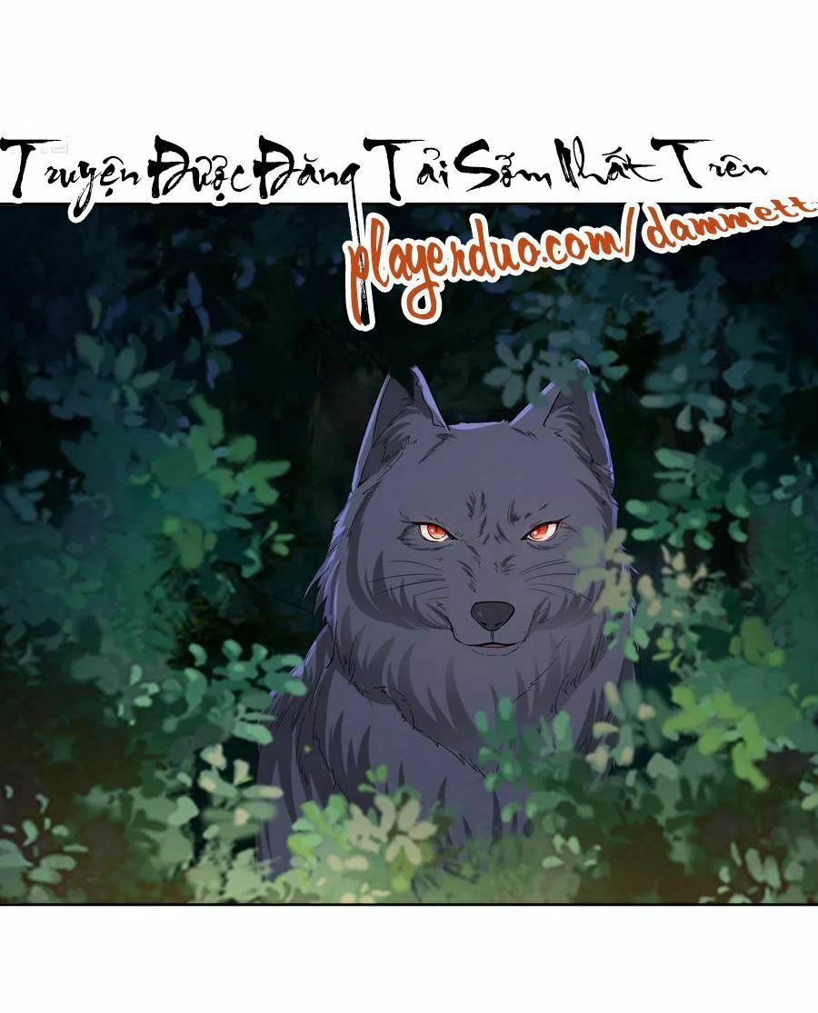 Độc Y Đích Nữ: Chapter 146