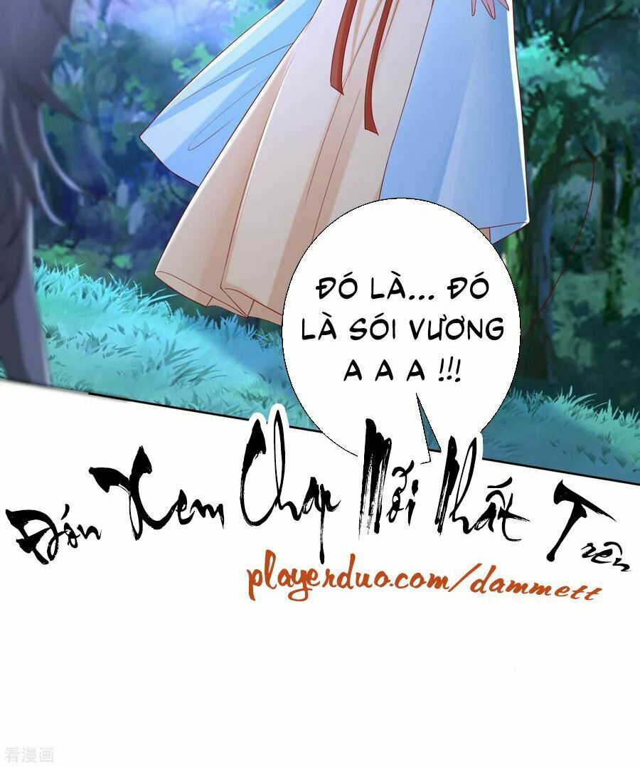 Độc Y Đích Nữ: Chapter 146