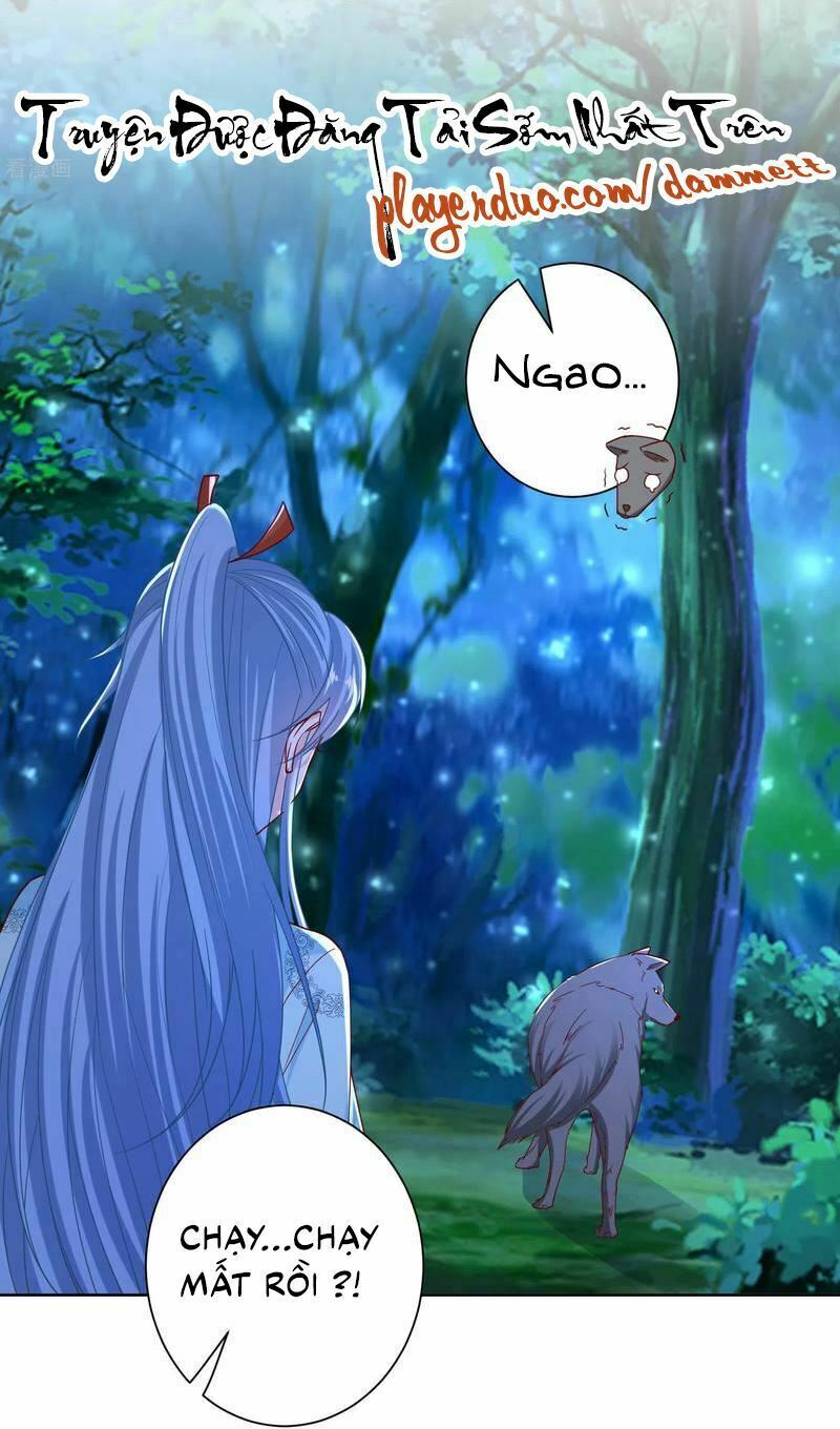 Độc Y Đích Nữ: Chapter 147