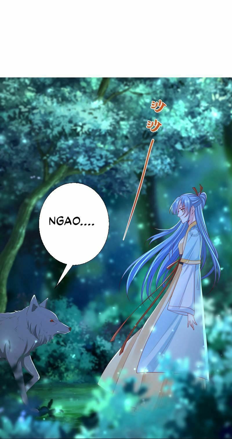 Độc Y Đích Nữ: Chapter 147