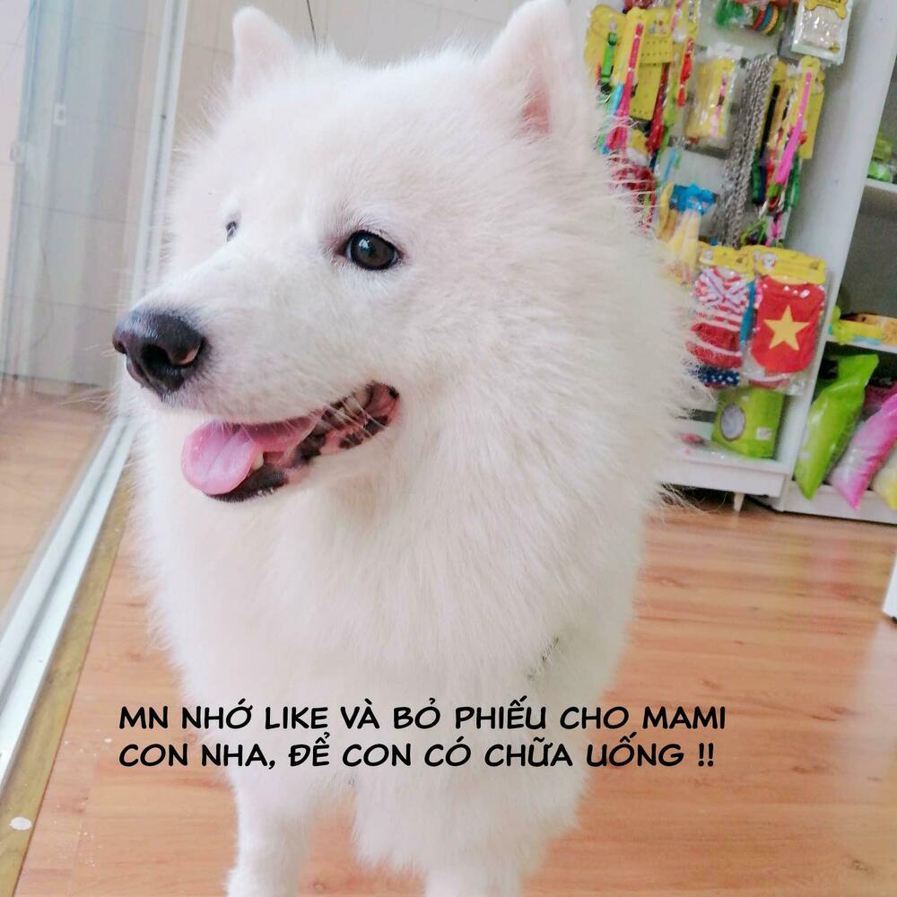 Độc Y Đích Nữ: Chapter 15
