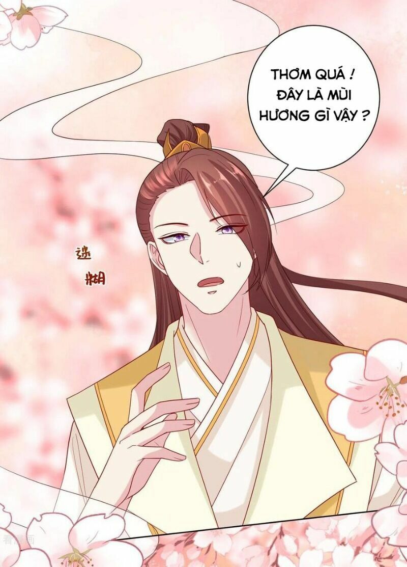 Độc Y Đích Nữ: Chapter 161