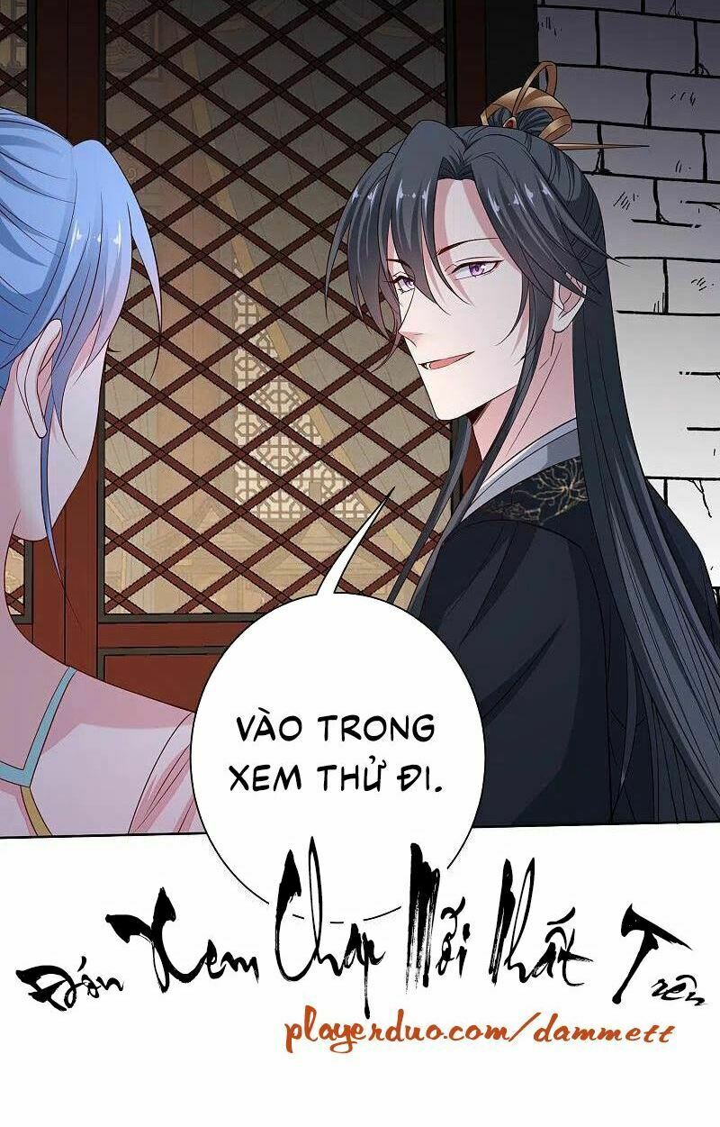 Độc Y Đích Nữ: Chapter 204