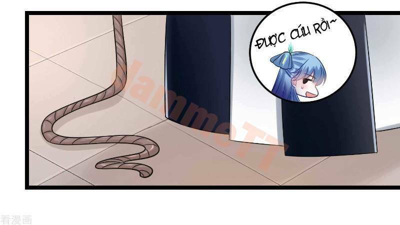 Độc Y Đích Nữ: Chapter 62