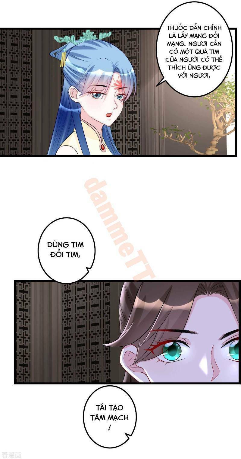 Độc Y Đích Nữ: Chapter 65