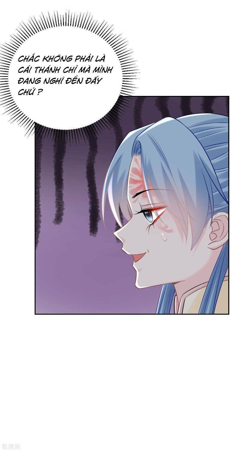 Độc Y Đích Nữ: Chapter 88