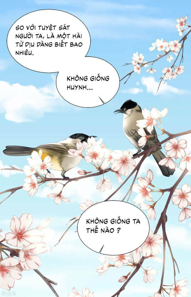 Độc Y Đích Nữ: Chapter 97