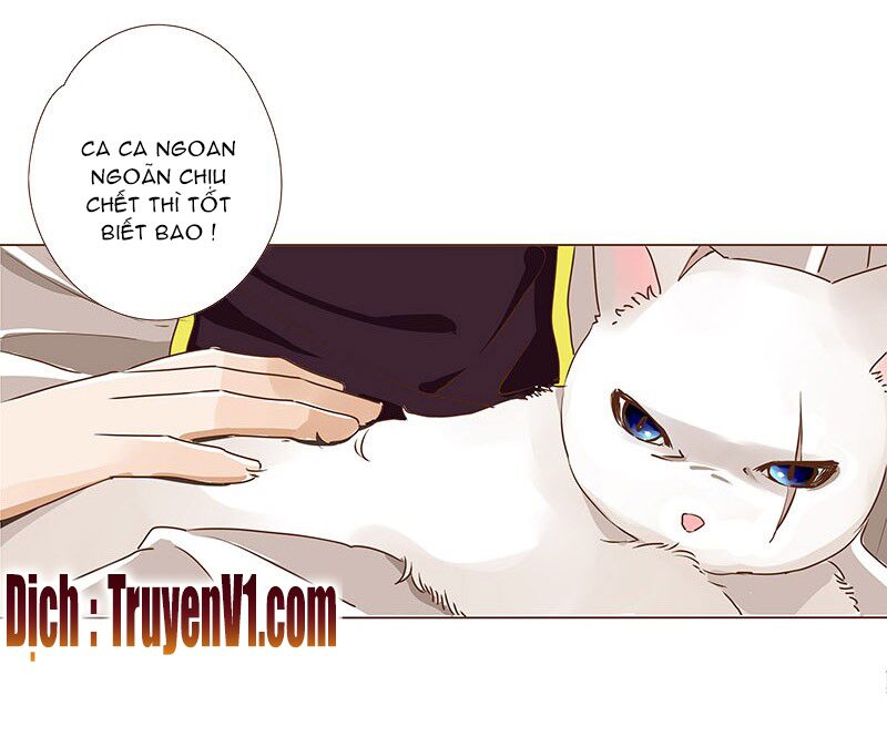 Đế Vương Trắc: Chapter 10