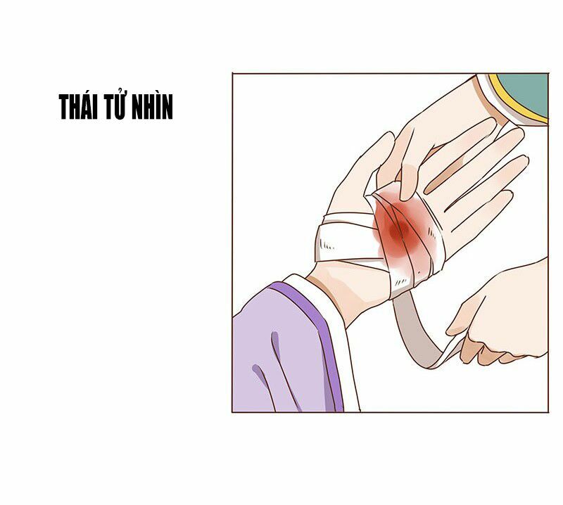 Đế Vương Trắc: Chapter 11