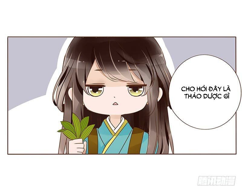 Đế Vương Trắc: Chapter 112