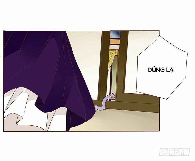 Đế Vương Trắc: Chapter 118.5