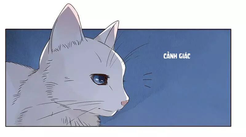 Đế Vương Trắc: Chapter 152