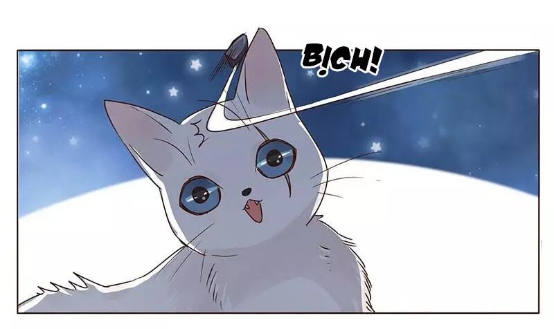 Đế Vương Trắc: Chapter 152
