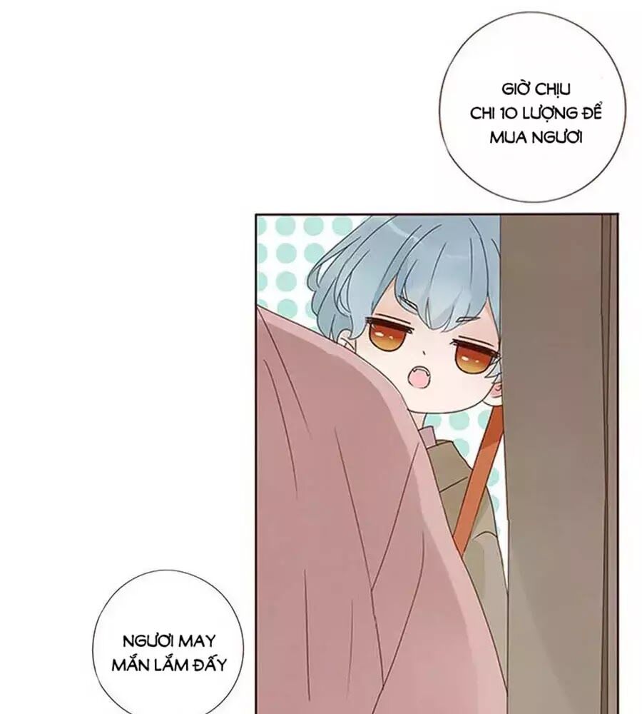 Đế Vương Trắc: Chapter 164