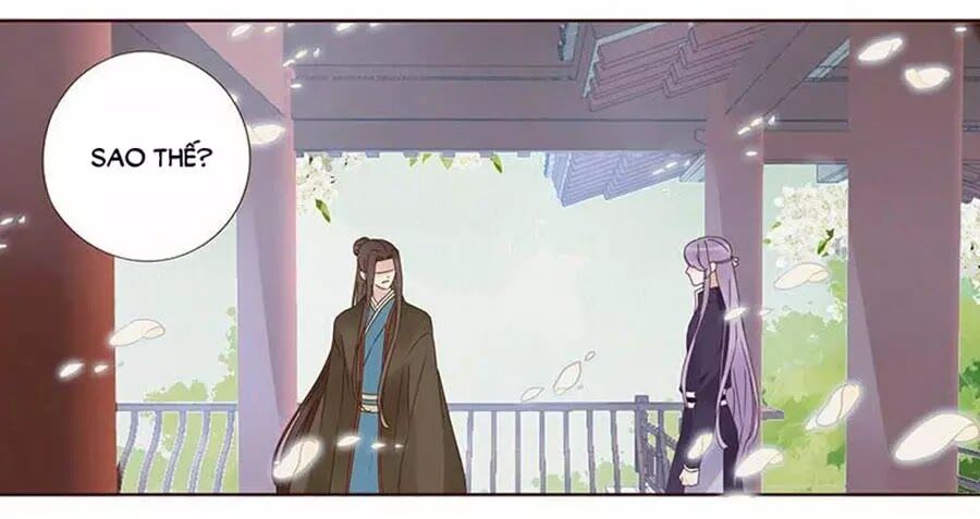 Đế Vương Trắc: Chapter 164