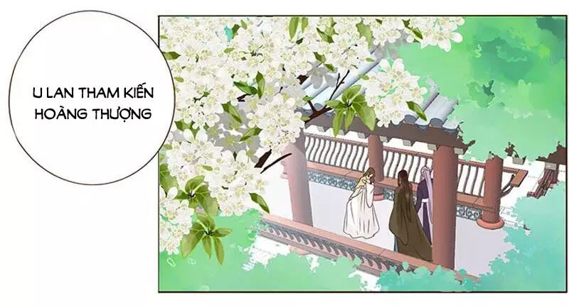 Đế Vương Trắc: Chapter 165