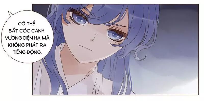 Đế Vương Trắc: Chapter 166