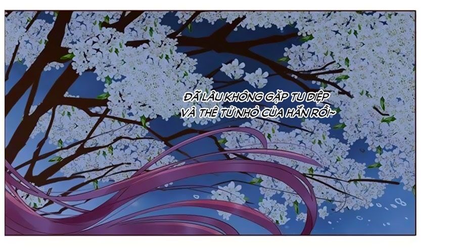 Đế Vương Trắc: Chapter 186