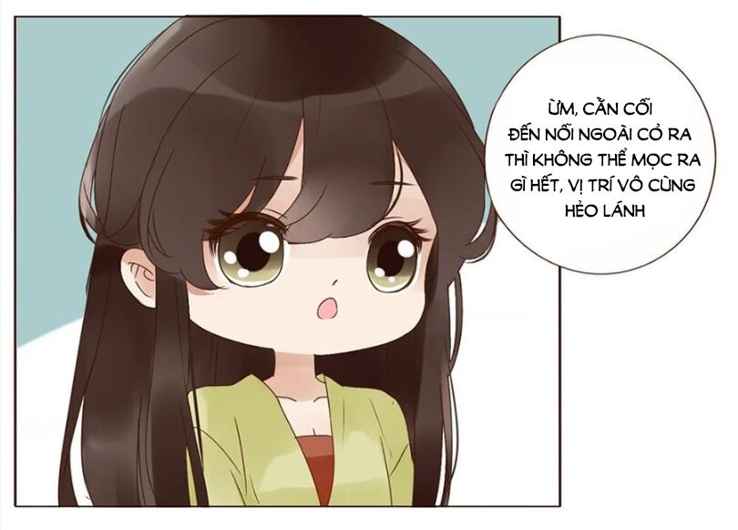 Đế Vương Trắc: Chapter 202
