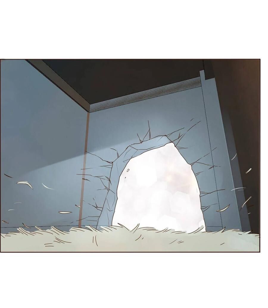 Đế Vương Trắc: Chapter 208