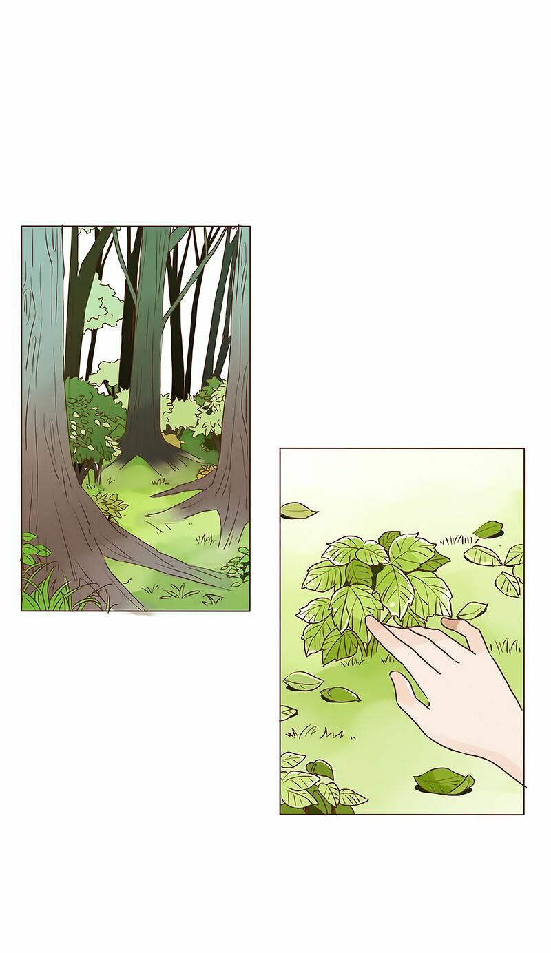 Đế Vương Trắc: Chapter 4