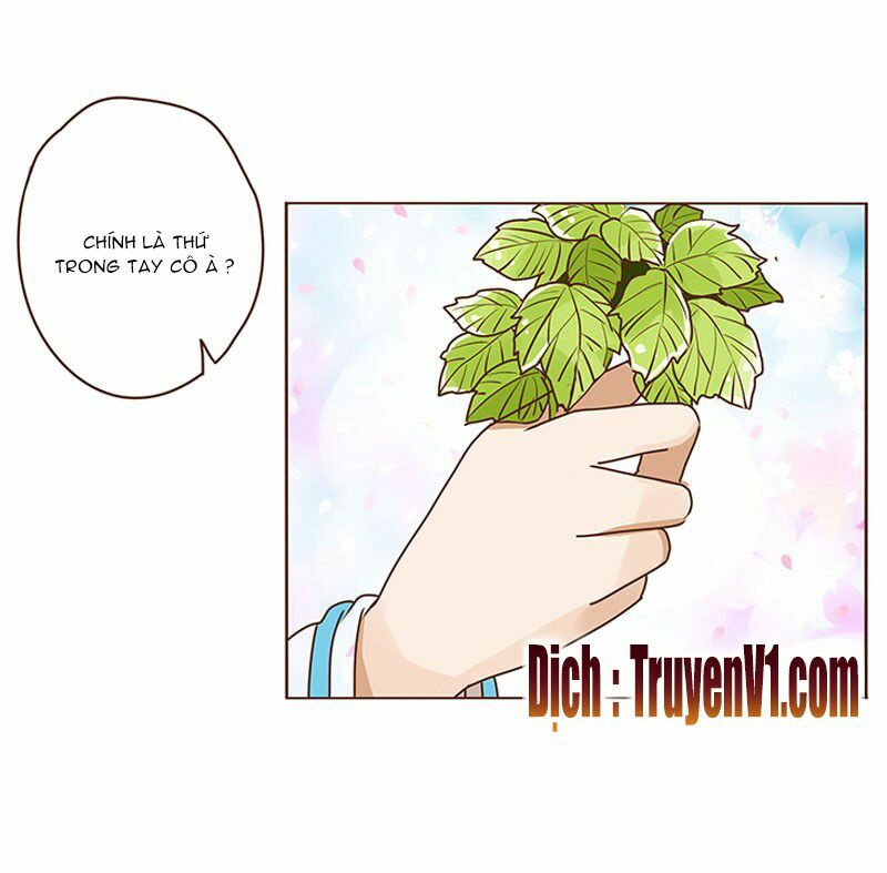 Đế Vương Trắc: Chapter 5