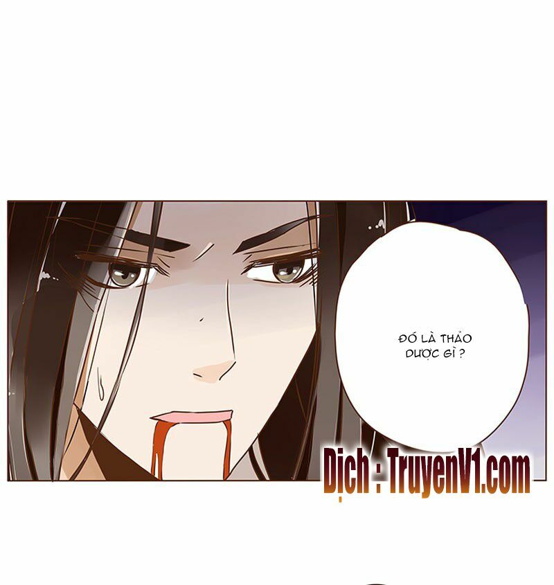 Đế Vương Trắc: Chapter 5