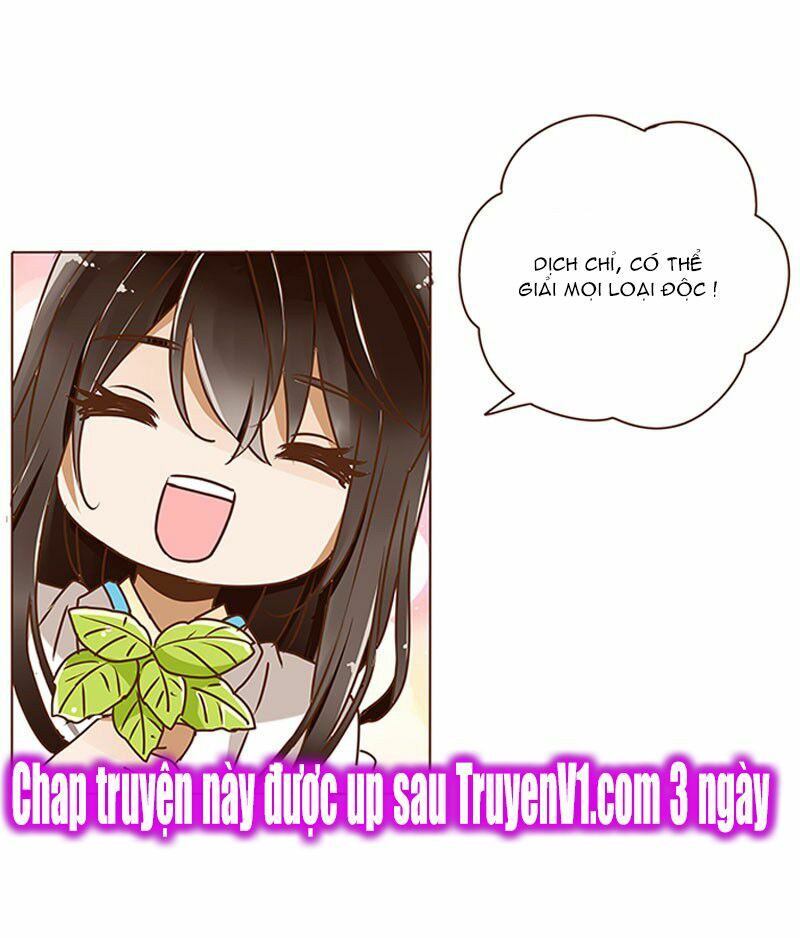 Đế Vương Trắc: Chapter 5