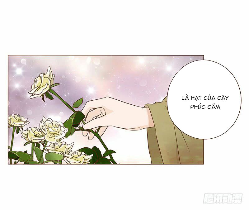 Đế Vương Trắc: Chapter 84