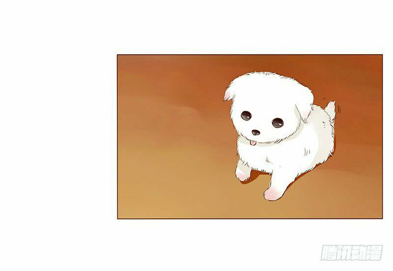 Đế Vương Trắc: Chapter 99.5