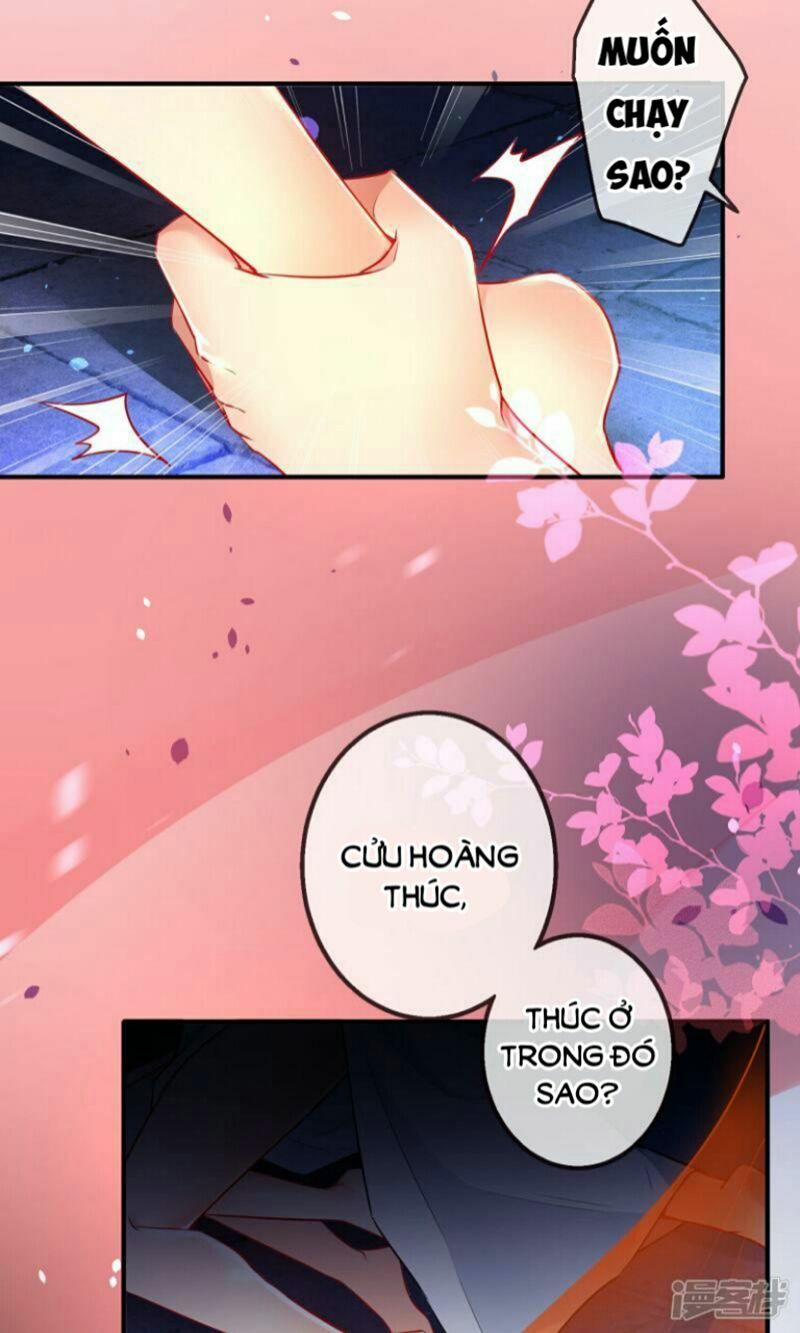 Tiểu Yêu Tinh Điều Giáo Bảo Điển: Chapter 1.5