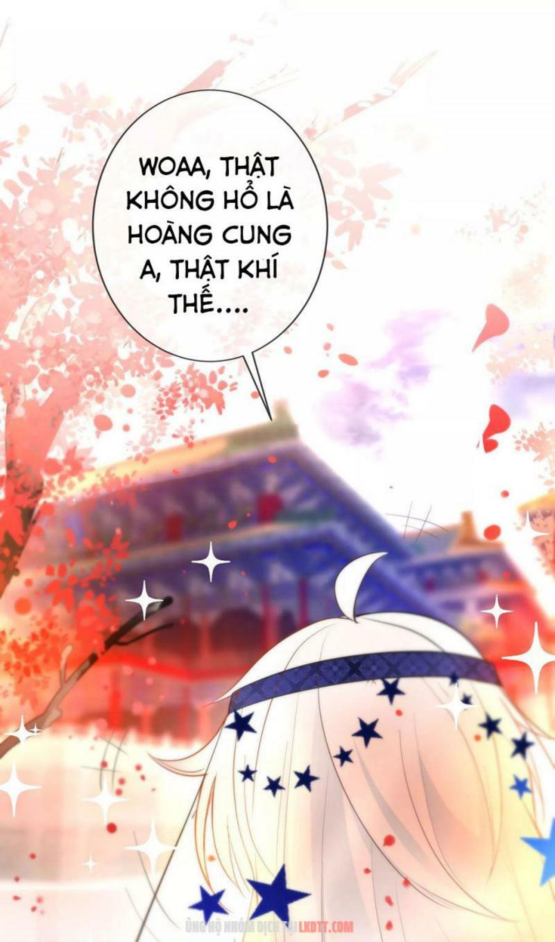 Tiểu Yêu Tinh Điều Giáo Bảo Điển: Chapter 65