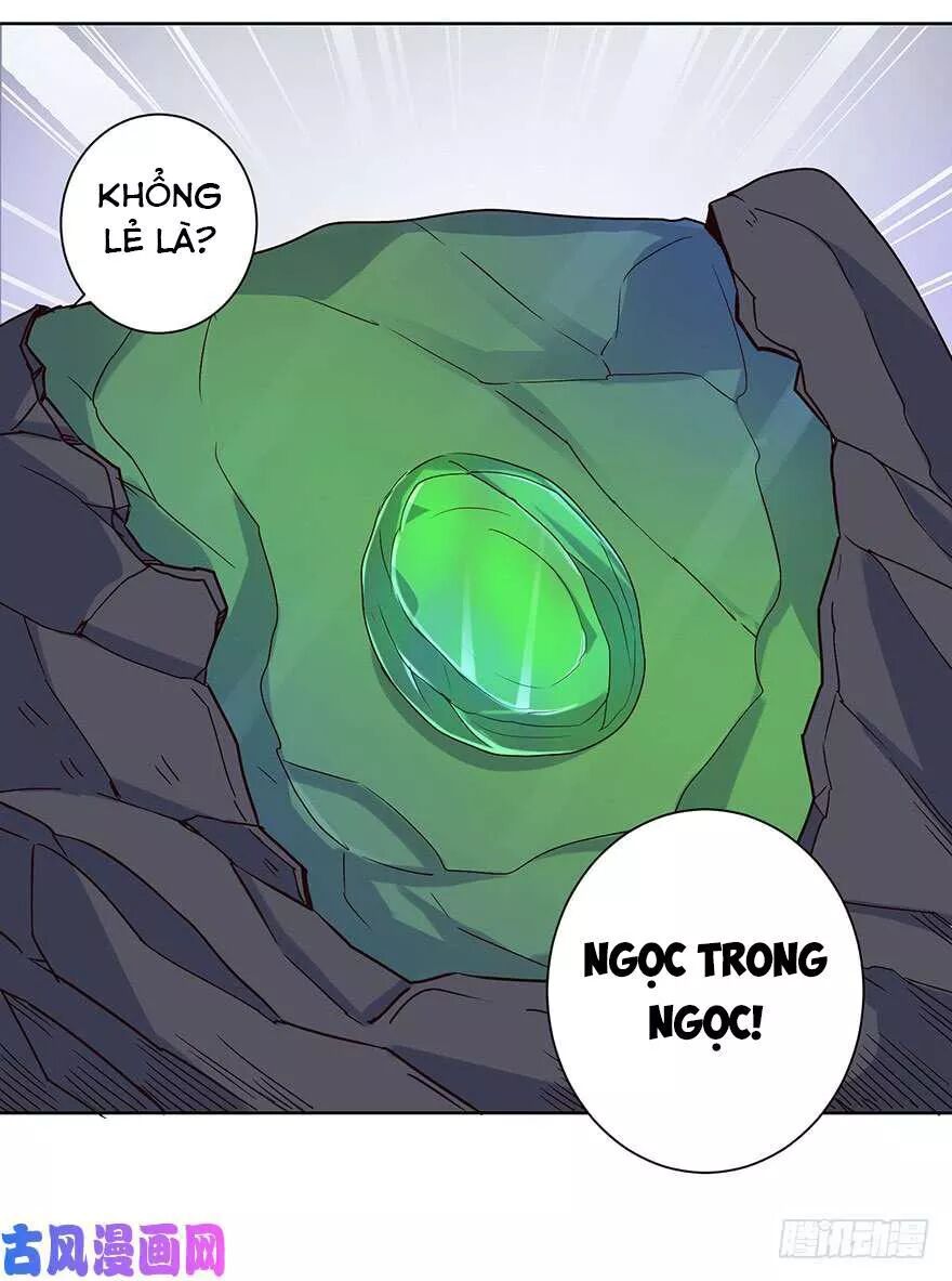 Đô Thị Chí Tôn Hệ Thống: Chapter 40: Ngọc Trong Thạch !
