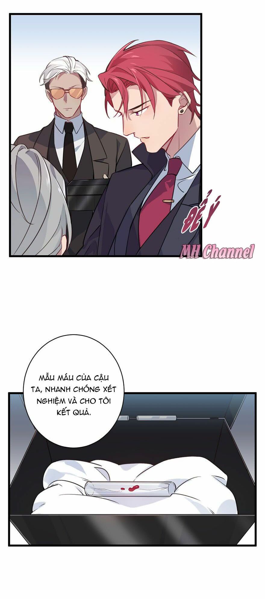 Lang Quân, Xin Đừng...!: Chapter 14: Mẫu máu thiên mệnh