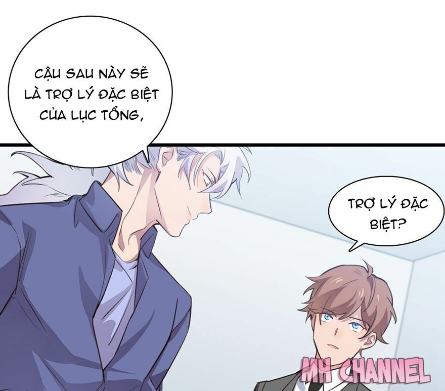 Lang Quân, Xin Đừng...!: Chapter 15: Trợ lý đặc biệt cho Lục tổng